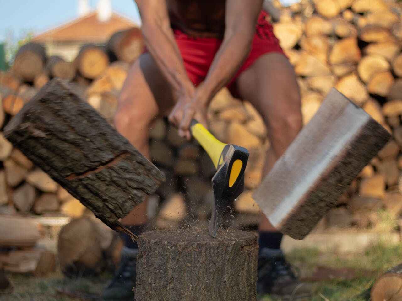 Best Tree Removal Cost  in USA